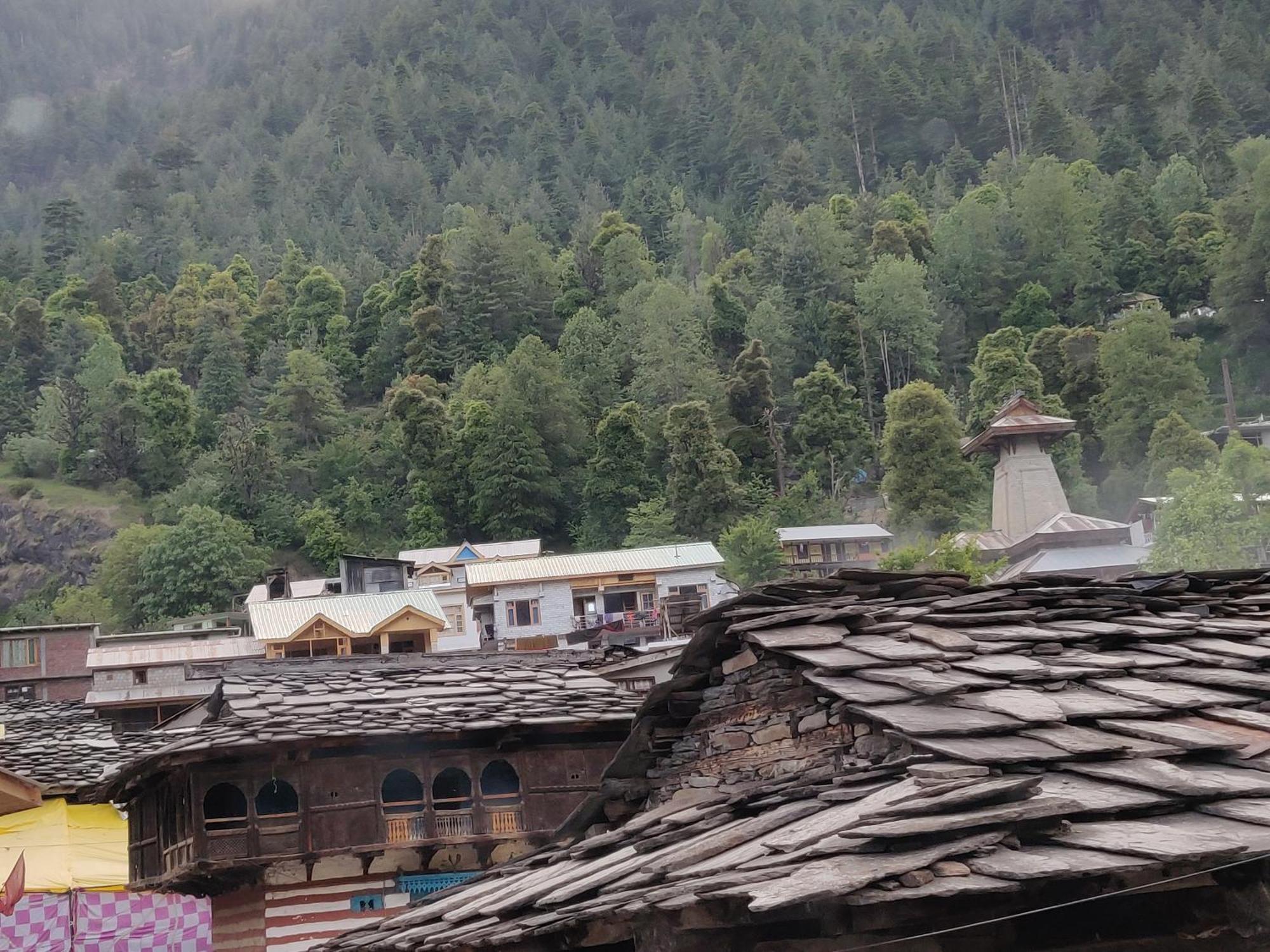 La Voglia-Old Manali Hostel - Manali (Himachal Pradesh), Manali